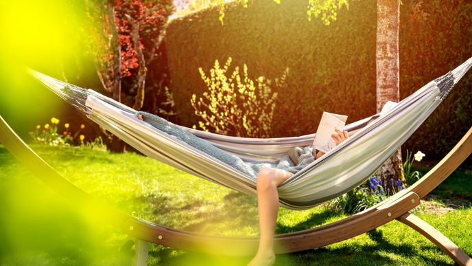Lärmschutzwand für den Garten? Diese Pflanzen eignen sich stattdessen