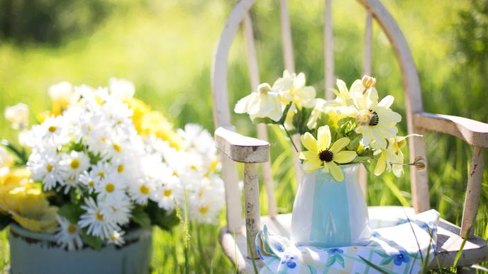 5 Pflanzen, die schlecht für den Garten sind