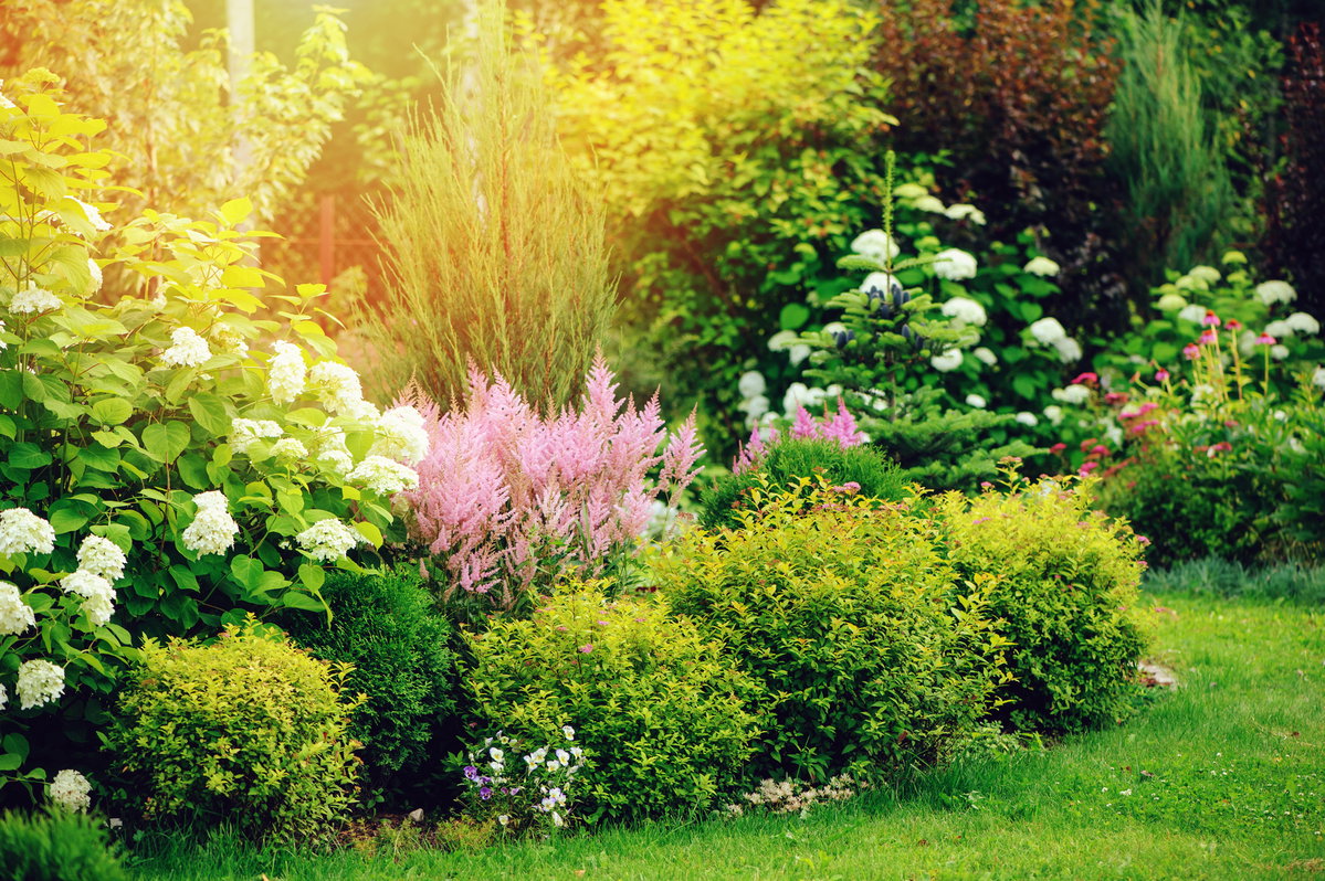 Garten im Sommer