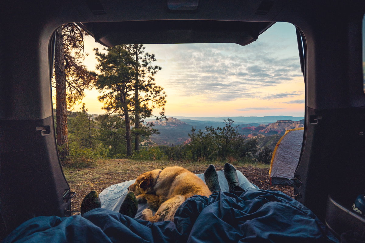 Camping