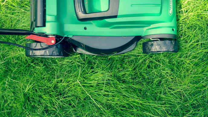 Rasenschnitt weiterverwenden: 6 Tipps, wofür das Gras noch nützlich ist
