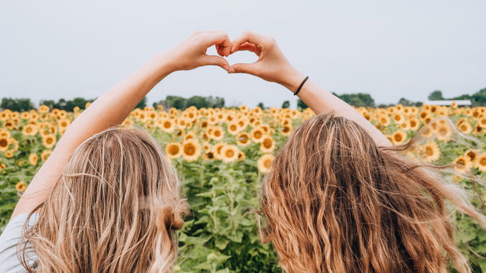 Sonnenblumen richtig schneiden: Die 3 besten Tipps