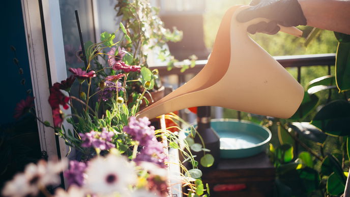Die 11 schönsten Blumenkübel für den Balkon