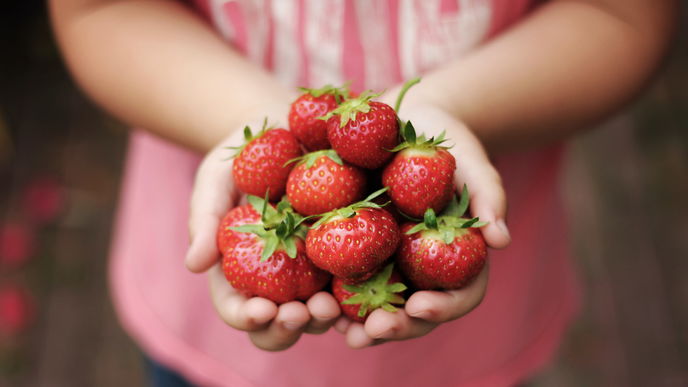 Erdbeeren einfrieren: 3 Dinge, die Sie beachten sollten
