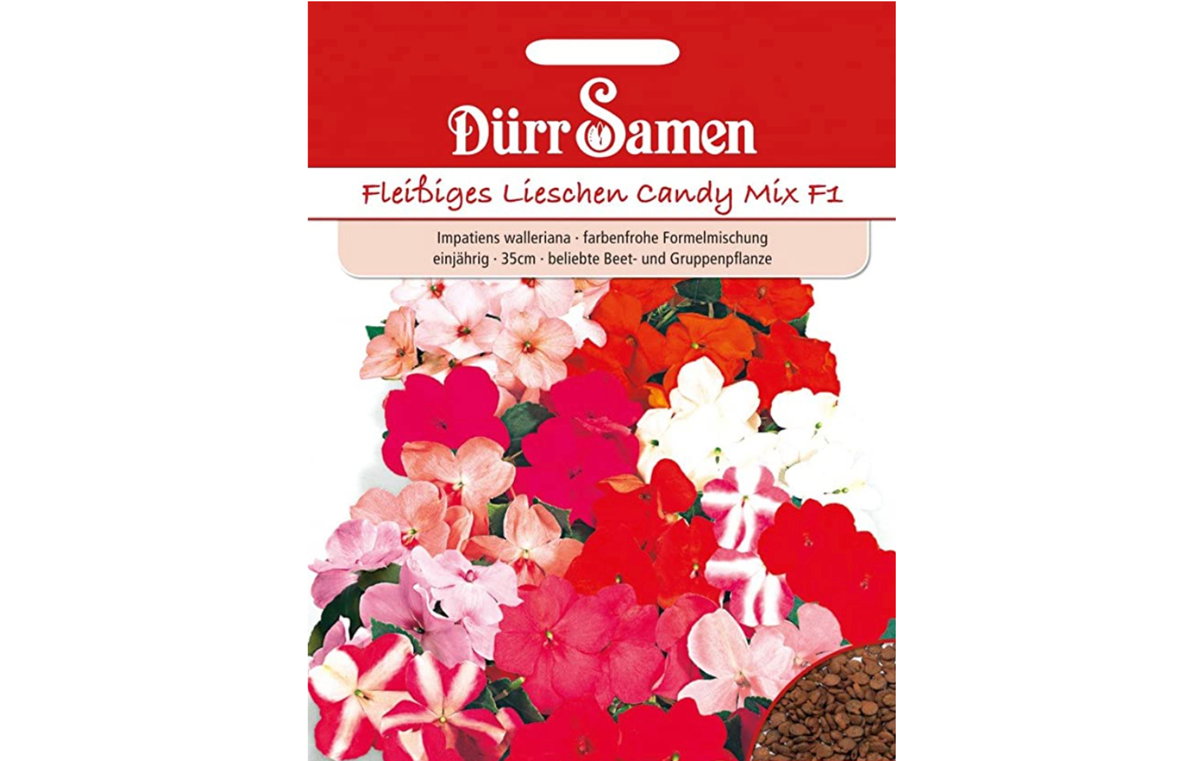 Fleißiges Lieschen