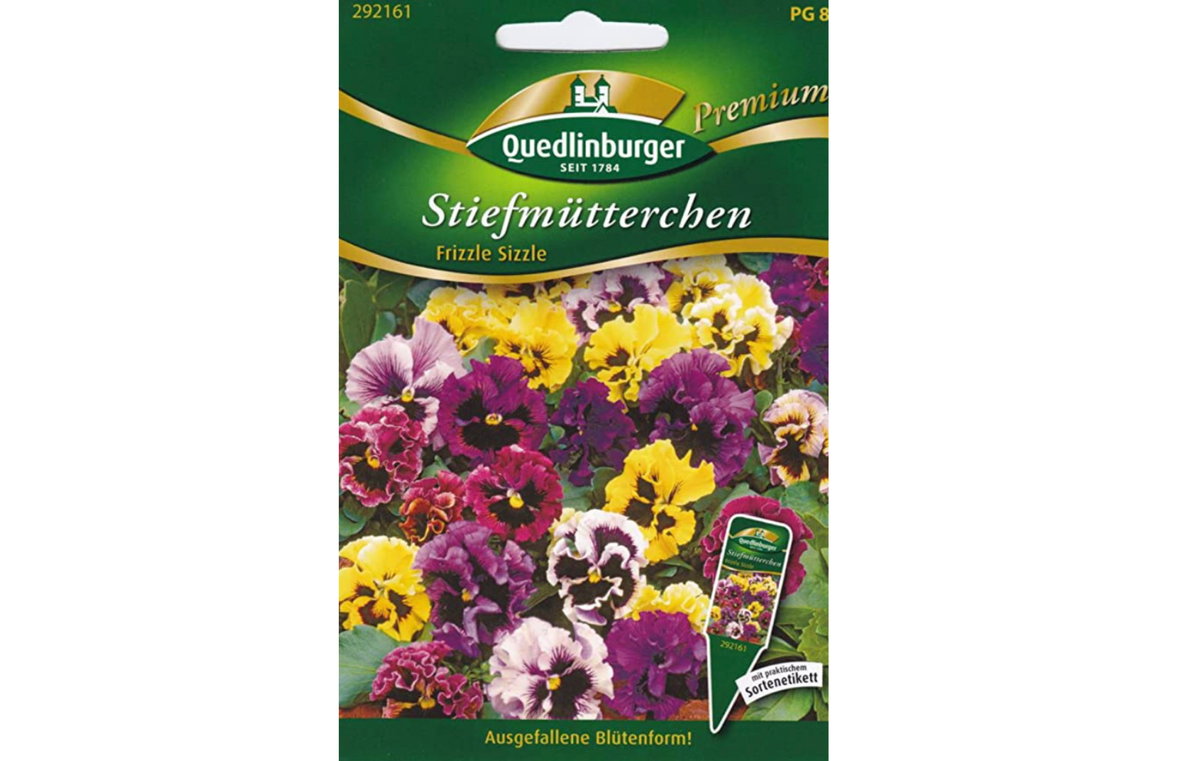Stiefmütterchen gezackter Rand
