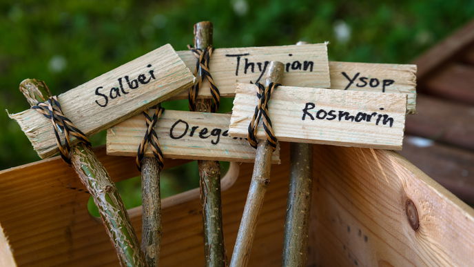 Pflanzenschilder aus Holz: 4 kreative Ideen für den Garten