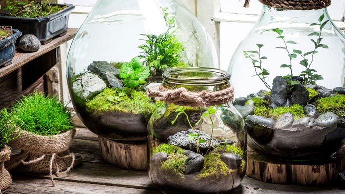 Die schönsten Flaschengarten zum Nachkaufen