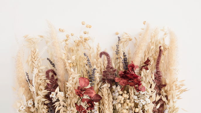 8 Pflanzen, aus denen Sie Trockenblumen selber ziehen können