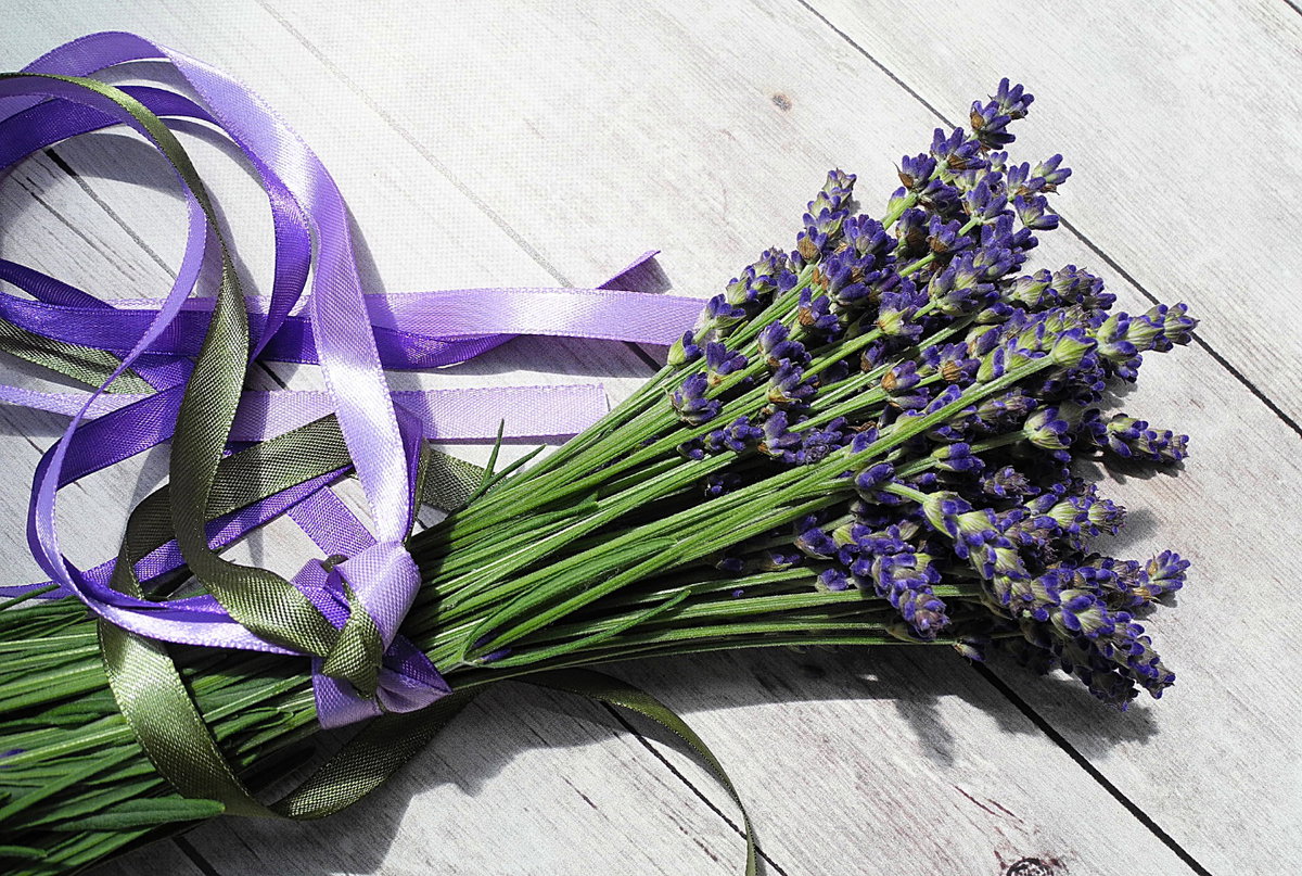 Lavendel Das hübsche lila Kraut ist wohl jedem bekannt. Genau wie seine beruhigende und entspannende Wirkung. Lavendel hilft gegen Ängste und Anspannung und wirkt so ideal als natürliches Schlafmittel. Legen Sie ein frisch gepflücktes Sträußchen Lavendel auf Ihren Nachttisch oder tröpfeln Sie etwas ätherisches Lavendelöl auf Ihr Kopfkissen, um besser zu schlafen.