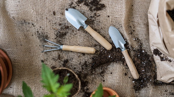 Garten im April: Diese 3 Arbeiten sind jetzt zu tun