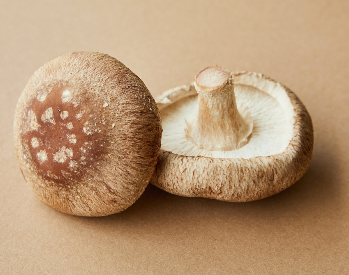 Pilze auf braunem Untergrund