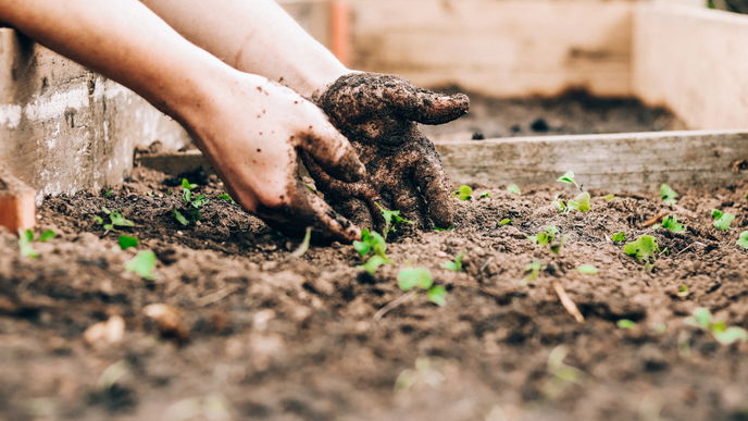 5 Tipps für einen ertragreichen Bio-Garten