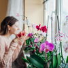 Duftende Zimmerpflanzen: Diese Blumen vertreiben schlechte Gerüche