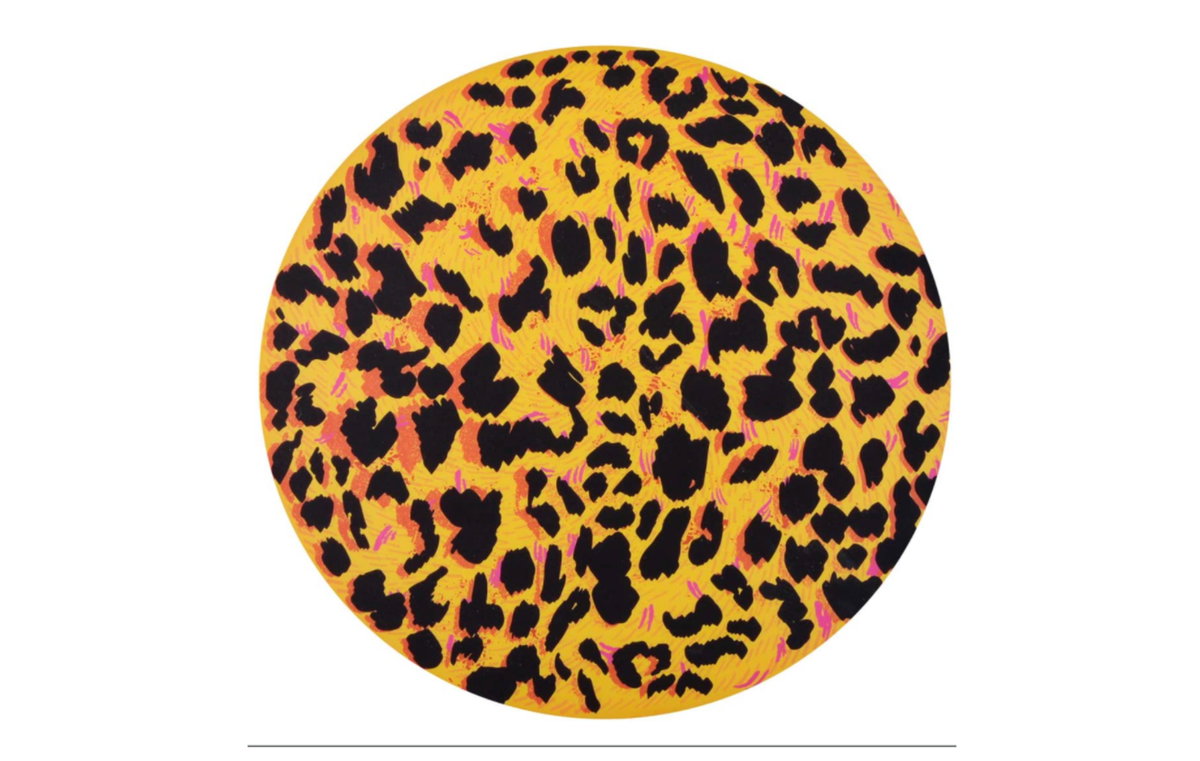 Frisbee Leomuster