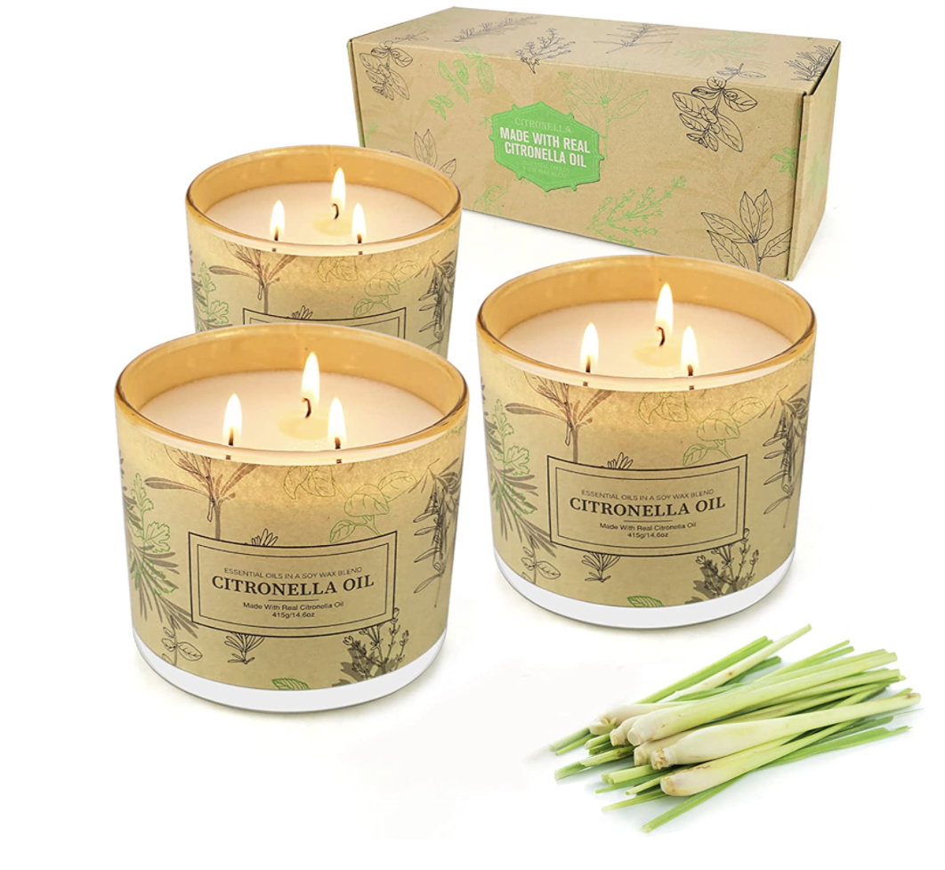 Schlicht und edel zugleich sehen diese Citronella-Kerzen gegen Mücken aus. Hier finden Sie das praktische 3er-Set für ca. 24 Euro >> Und hier sehen Sie, welche 12 Pflanzen gegen Mücken helfen >>