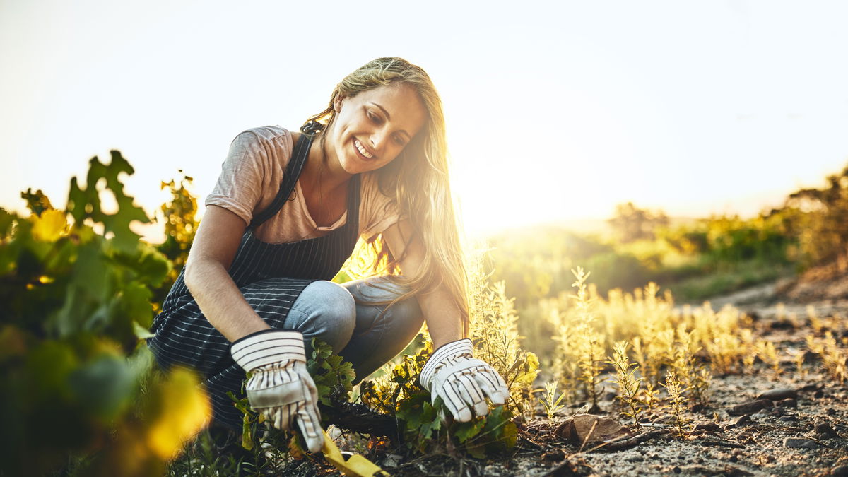 Gartenarbeit: Das ist im Juni zu tun
