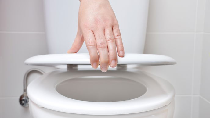 Darum sollten Sie den Klodeckel immer vor dem Spülen schließen