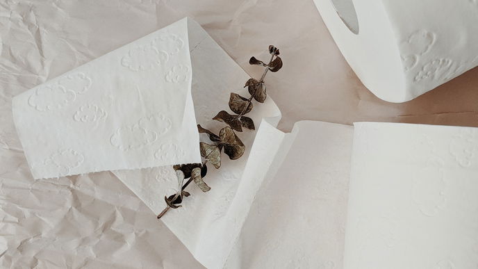 Aus diesen 5 Gründen sollten Sie NIEMALS feuchtes Toilettenpapier verwenden