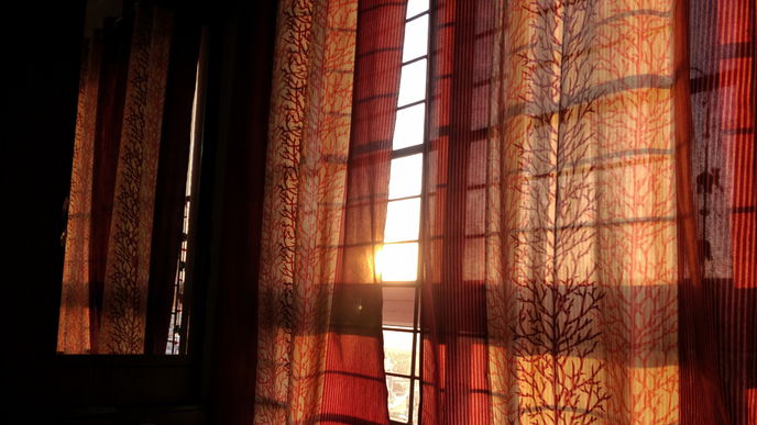 Ratgeber: Sicht- und Sonnenschutz am Fenster