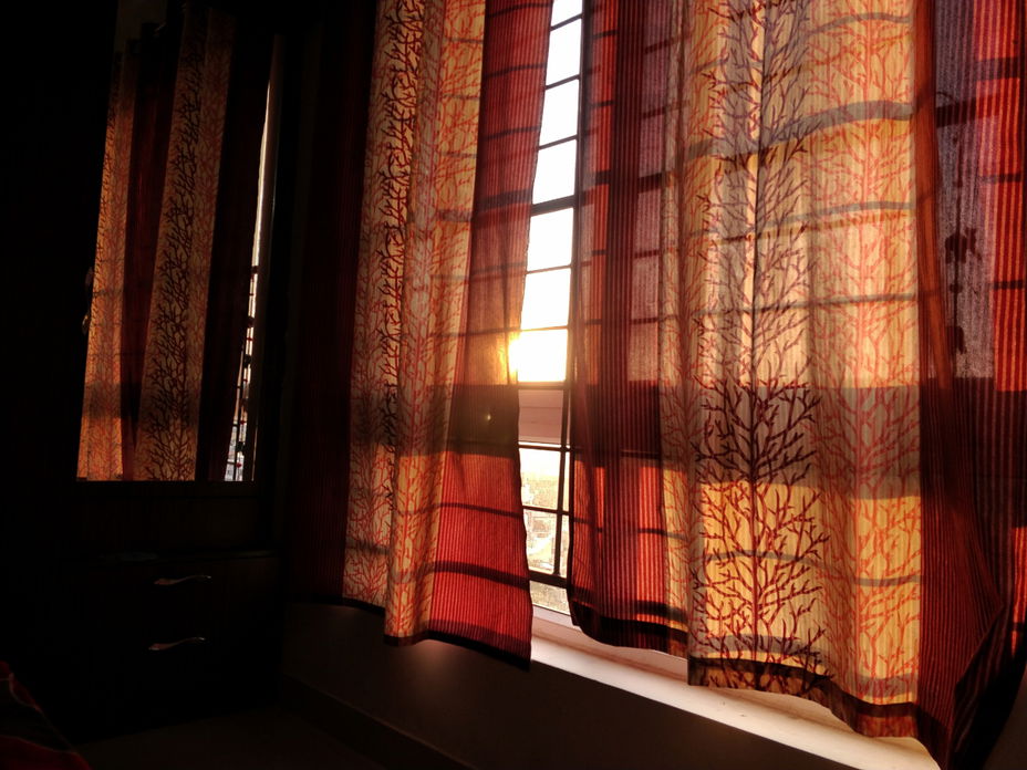 Ratgeber: Sicht- und Sonnenschutz am Fenster