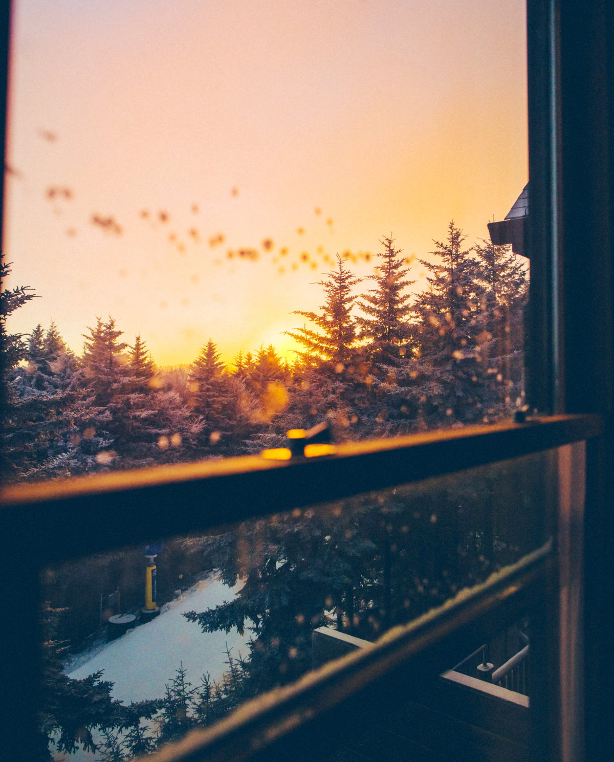 Aussicht
