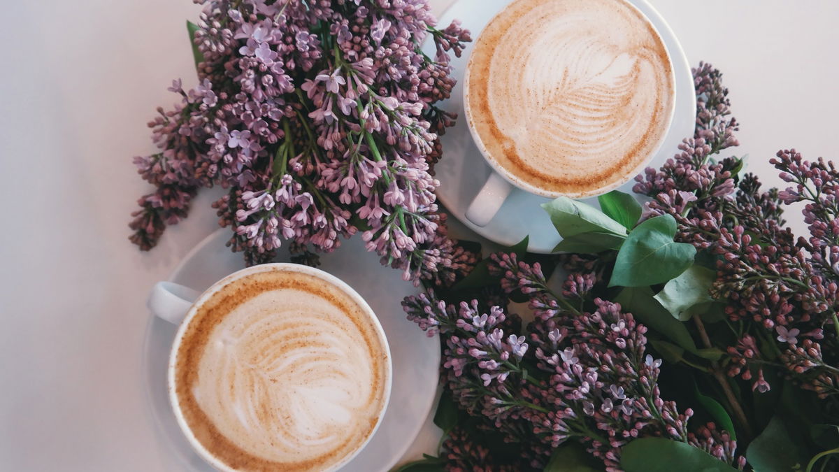 Darum sollten Sie Kaffee niemals mit Leitungswasser kochen