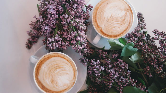 Darum sollten Sie Kaffee niemals mit Leitungswasser kochen