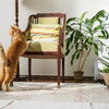 7 Pflanzen, die extrem giftig für Katzen sind