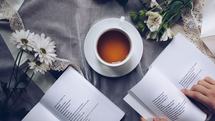Honeybush Tee: So gesund ist der Tee aus Südafrika