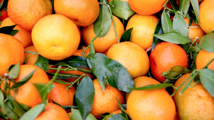 5 Tipps, wie Sie Orangen richtig lagern