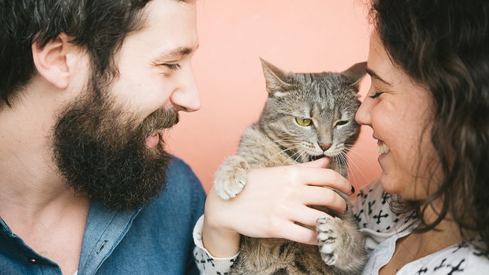 Katze beißt? Diese 5 Gründe können dahinter stecken