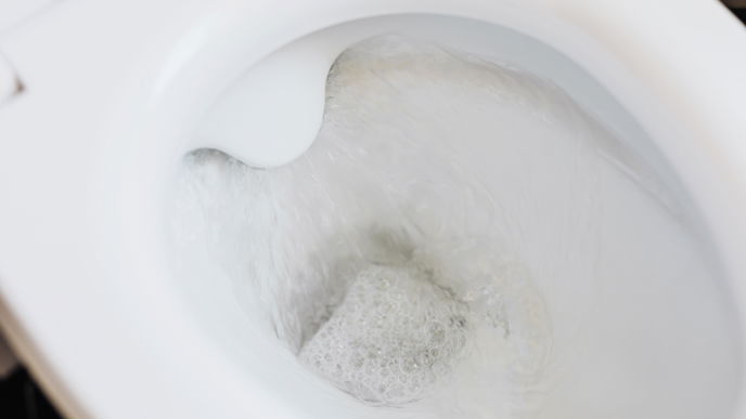 So können Sie Ihre Toilette ganz einfach mit Cola reinigen