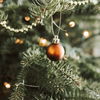 Mit diesen Tricks bleibt der Weihnachtsbaum länger frisch