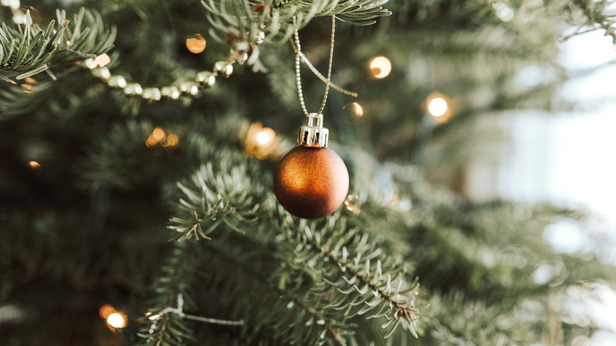 Mit diesen Tricks bleibt der Weihnachtsbaum länger frisch