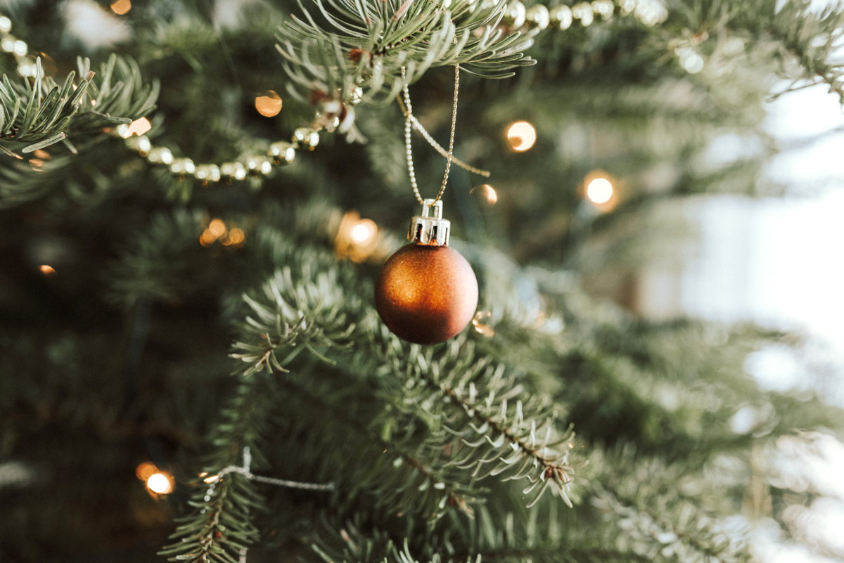 Weihnachtsbaum frisch halten