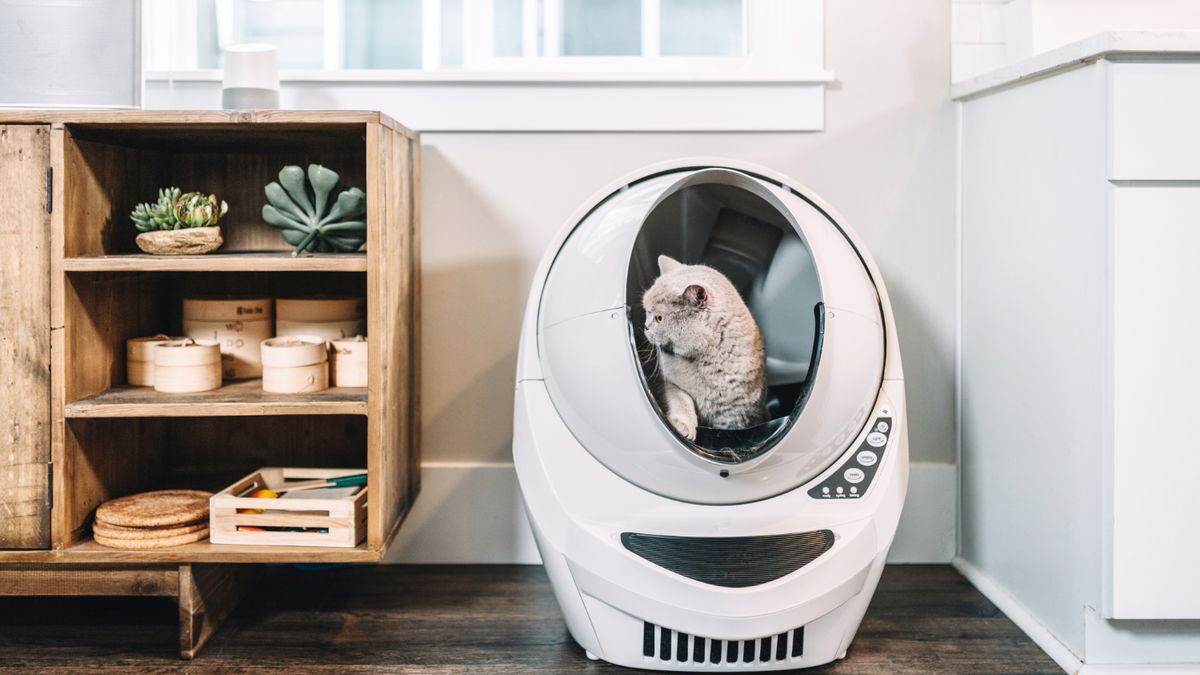 Katzenstreu zweckentfremden: 4 clevere Haushalts-Tricks