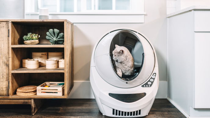 Katzenstreu zweckentfremden: 4 clevere Haushalts-Tricks
