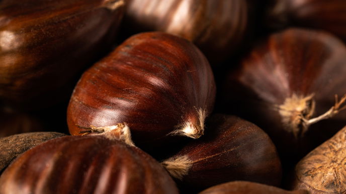 Darum sollten Sie von nun an öfter Maronen essen