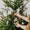 Weihnachten: 4 typische Fehler mit dem Weihnachtsbaum 