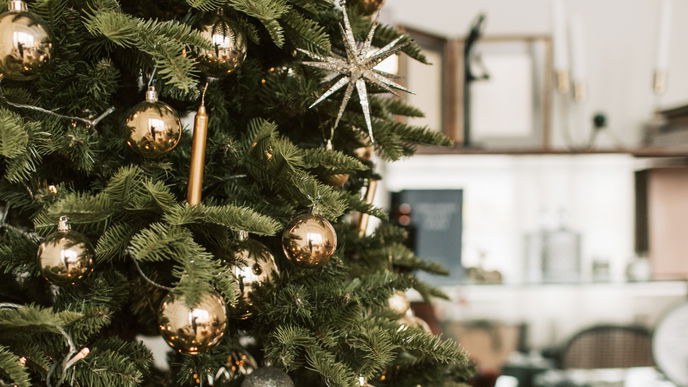 Weihnachtsbaum entsorgen: 3 Tipps, um ein Bußgeld zu vermeiden