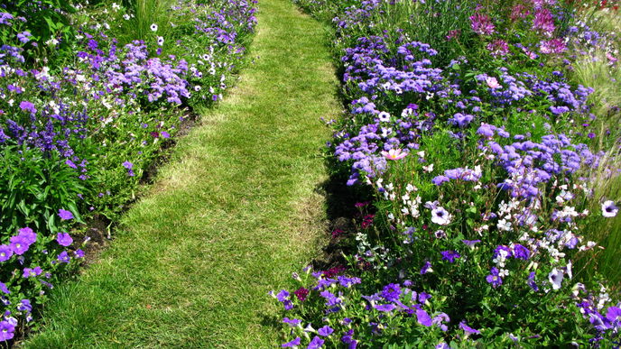 Garten-Trend im Frühling 2022: Blumenbeet in der Pantonefarbe Very Peri