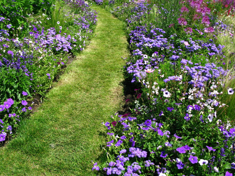 Garten-Trend im Frühling 2022: Blumenbeet in der  Pantonefarbe Very Peri