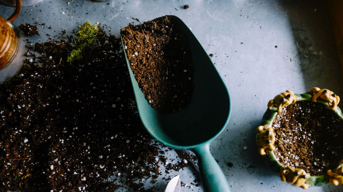 Garten im Frühling: Anzuchterde selber machen aus nur 3 Zutaten