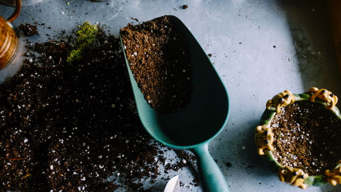 Garten im Frühling: Anzuchterde selber machen aus nur 3 Zutaten