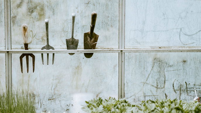 Garten im Februar: Diese wichtige Arbeit wird oft vergessen
