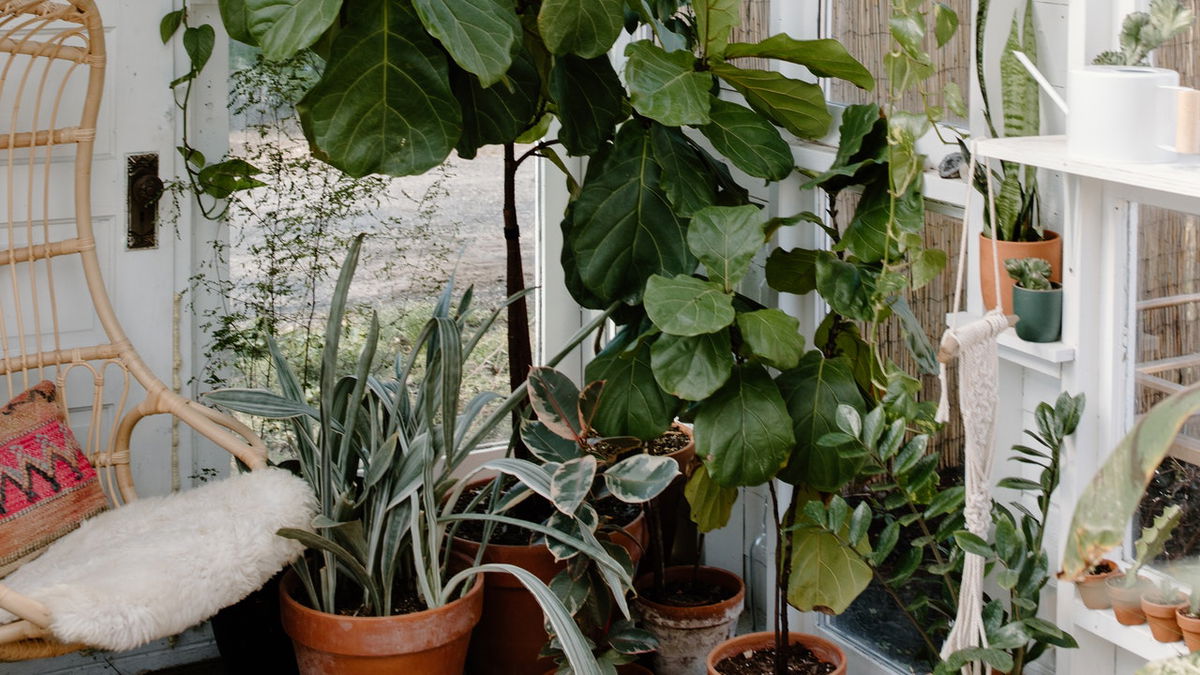 Wintergarten reinigen: Die 5 besten Tipps
