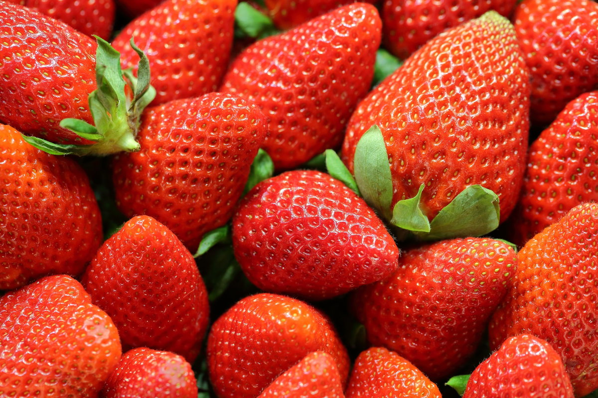 Erdbeeren