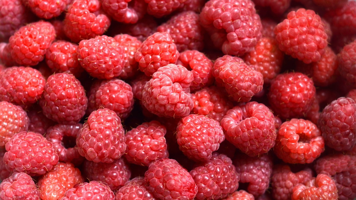 Himbeeren