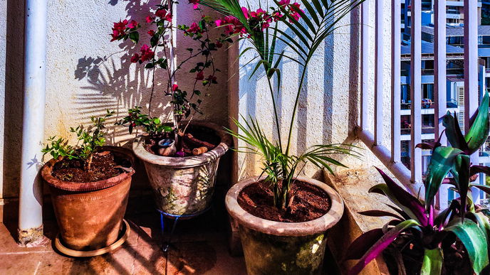 Balkon gestalten: Diese 6 Töpfe eignen sich für draußen